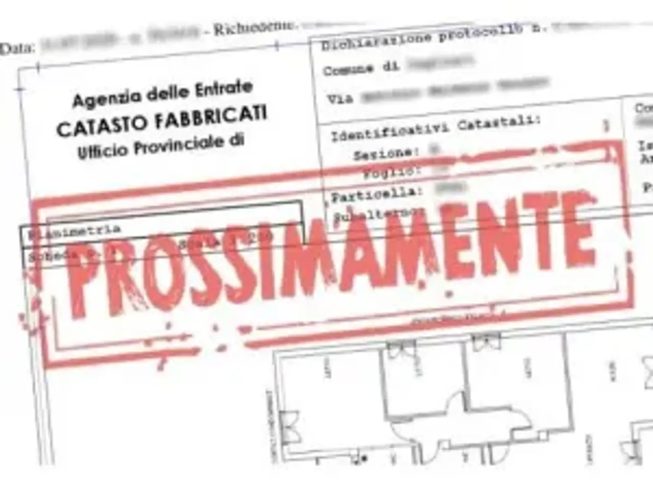 Negozio in Via della Scrofa, Roma, {3} - Planimetria 1