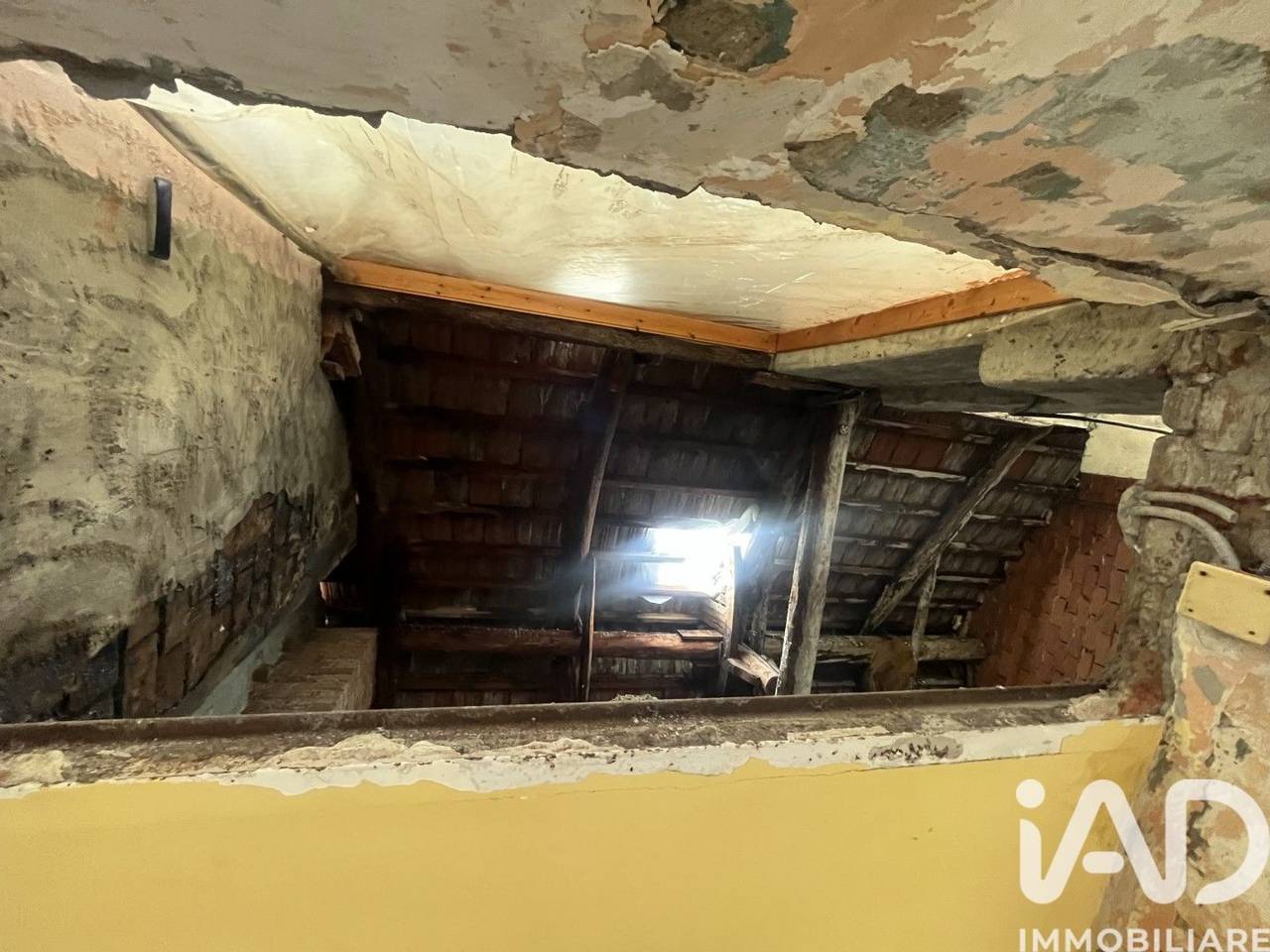 immagine annuncio 11 di 13