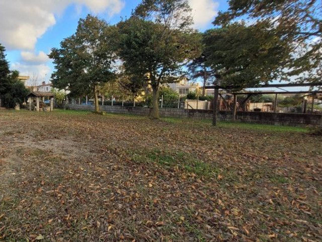 immagine annuncio 4 di 14