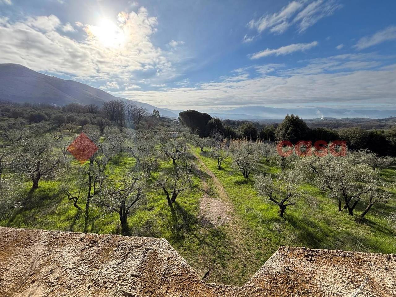 immagine annuncio 8 di 14