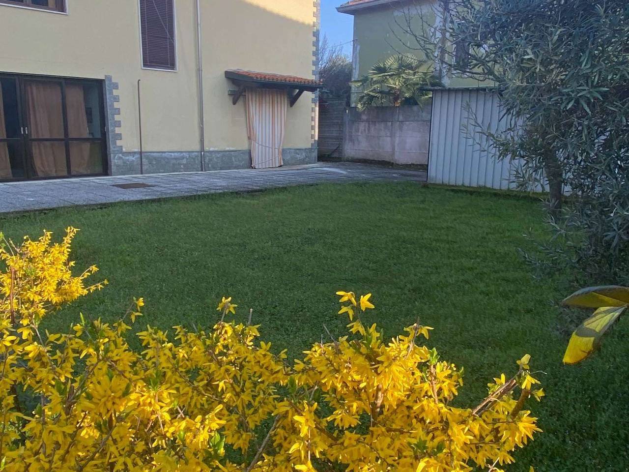 immagine annuncio 9 di 13