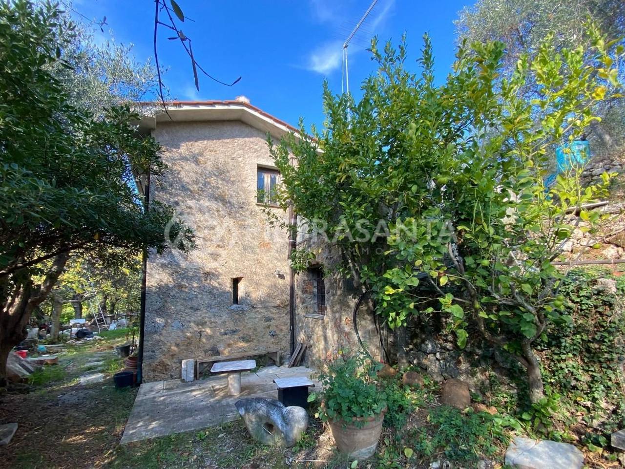 immagine annuncio 2 di 13