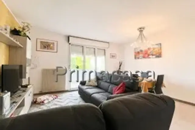 insertion image