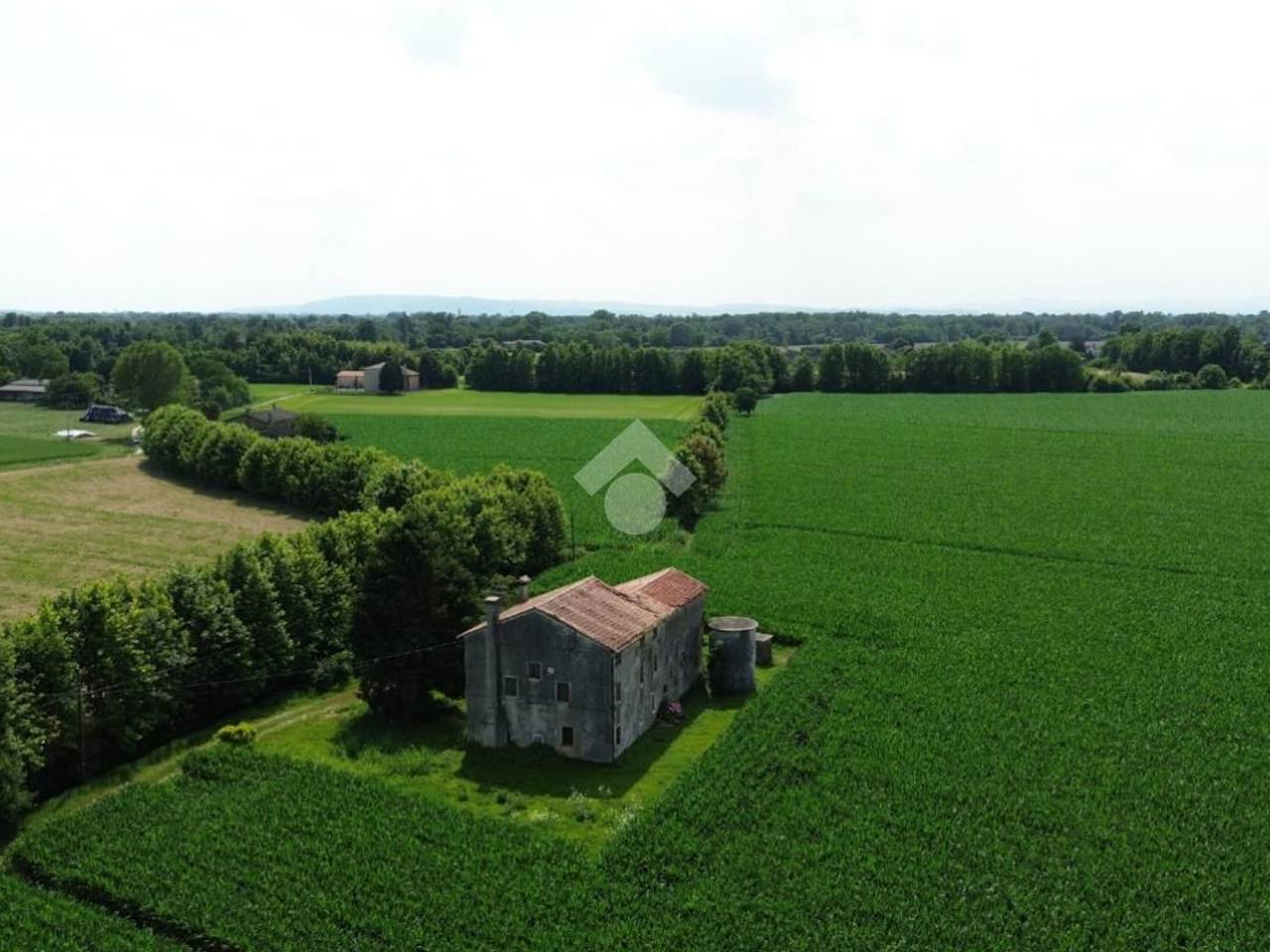 immagine annuncio 5 di 7