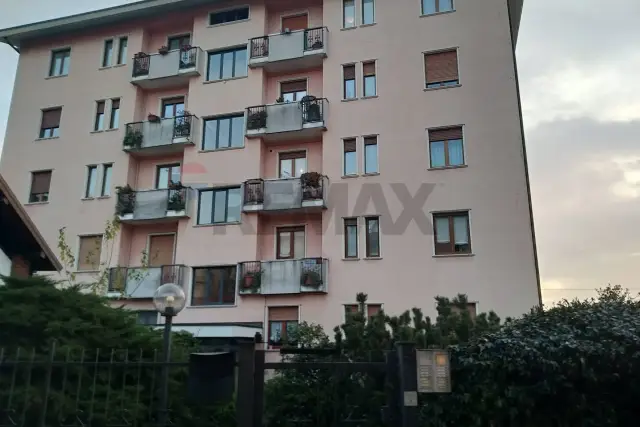 insertion image