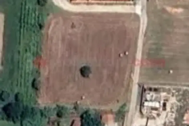 insertion image