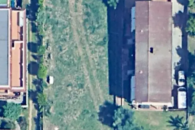 insertion image