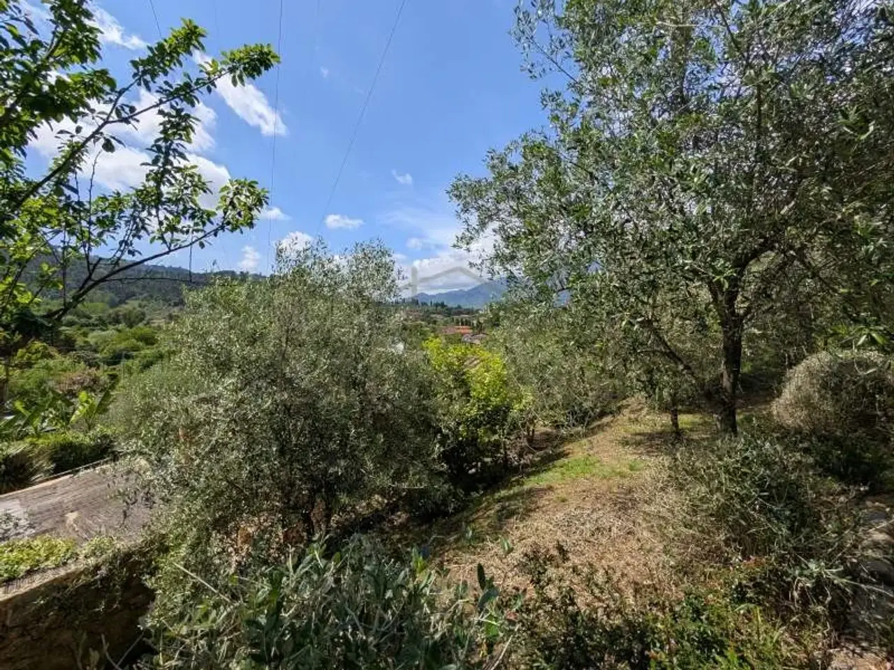 Magazzino in , Camaiore, {3} - Foto 2