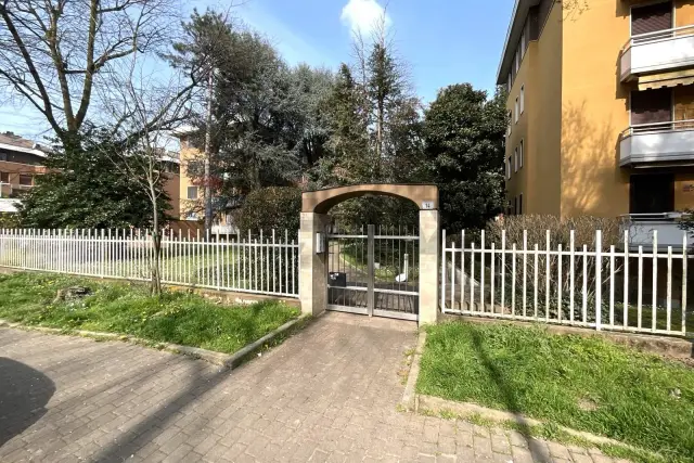 insertion image