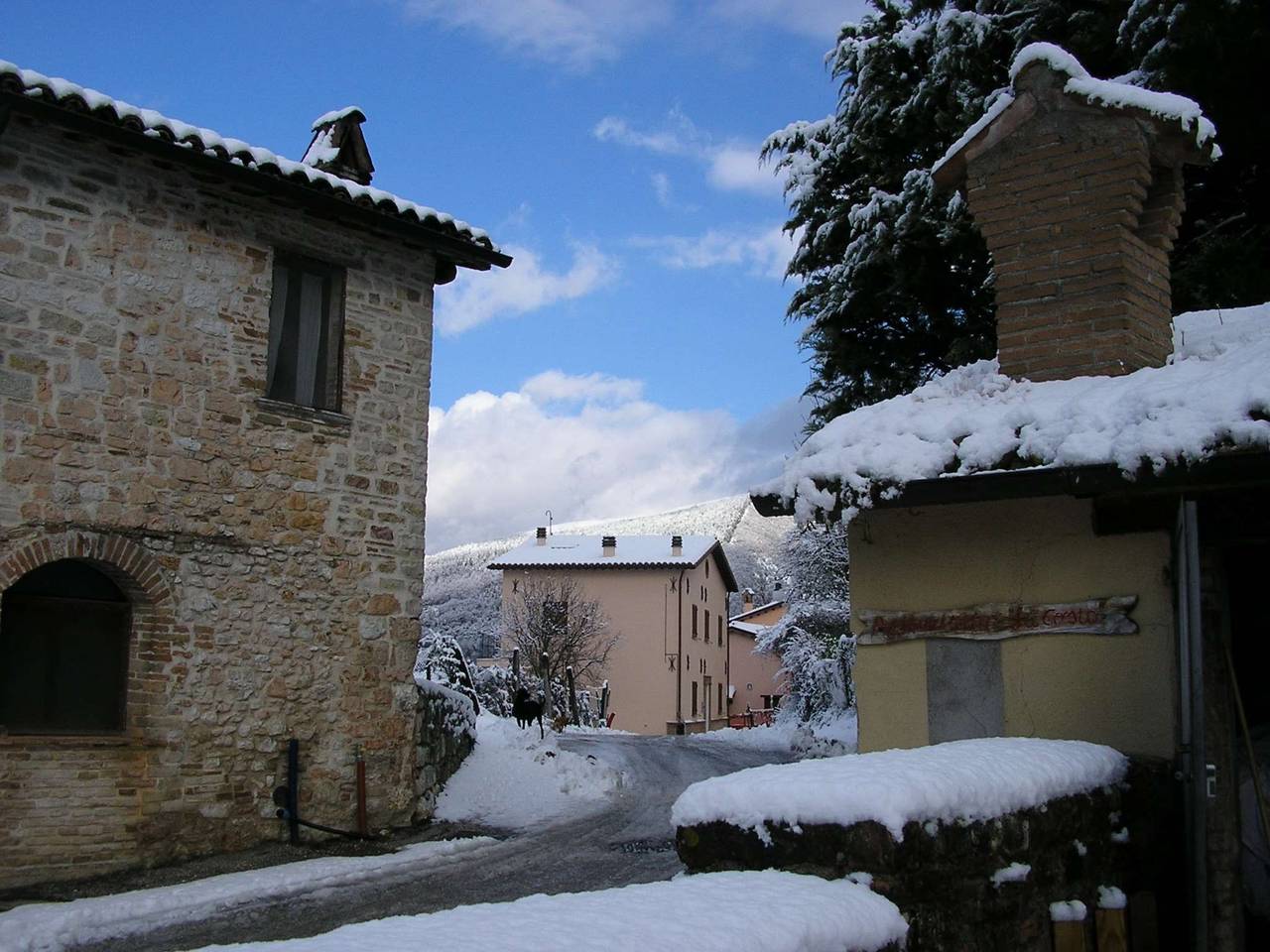 immagine annuncio 12 di 15