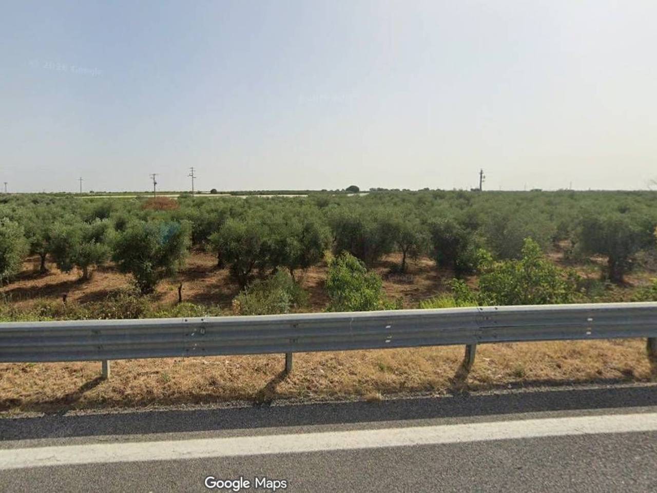 immagine annuncio 4 di 8