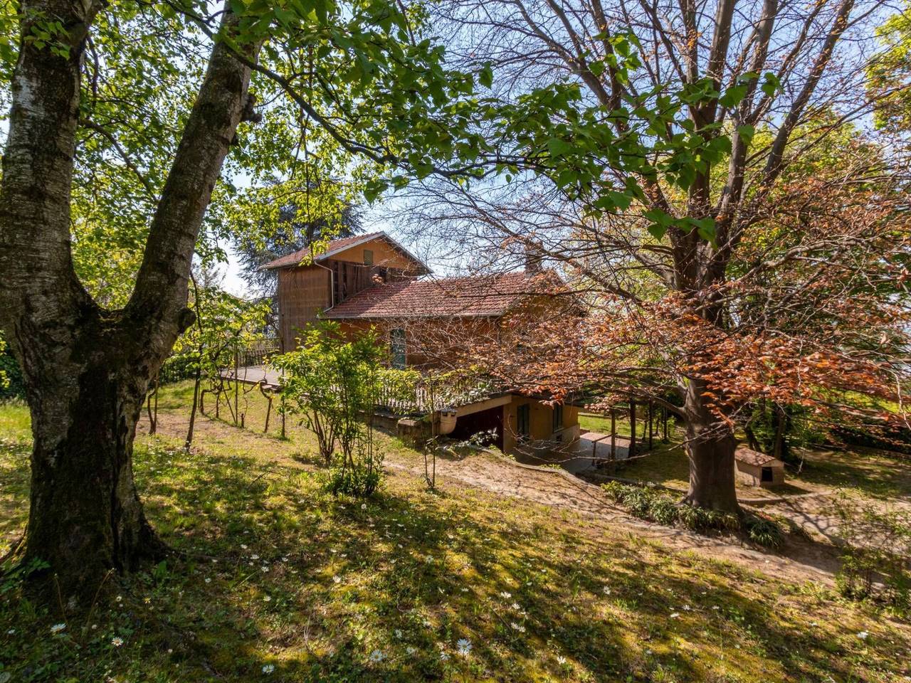 immagine annuncio 7 di 13