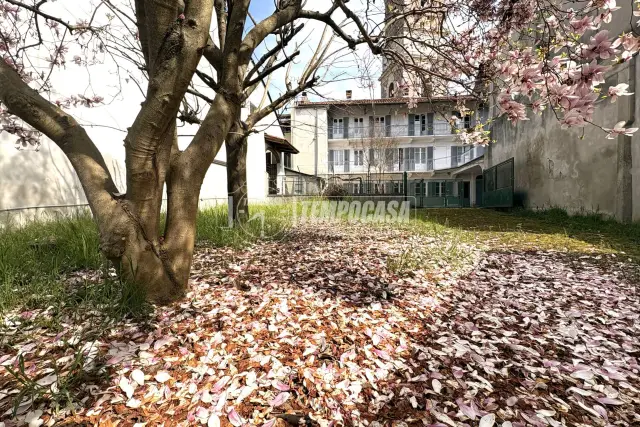 insertion image