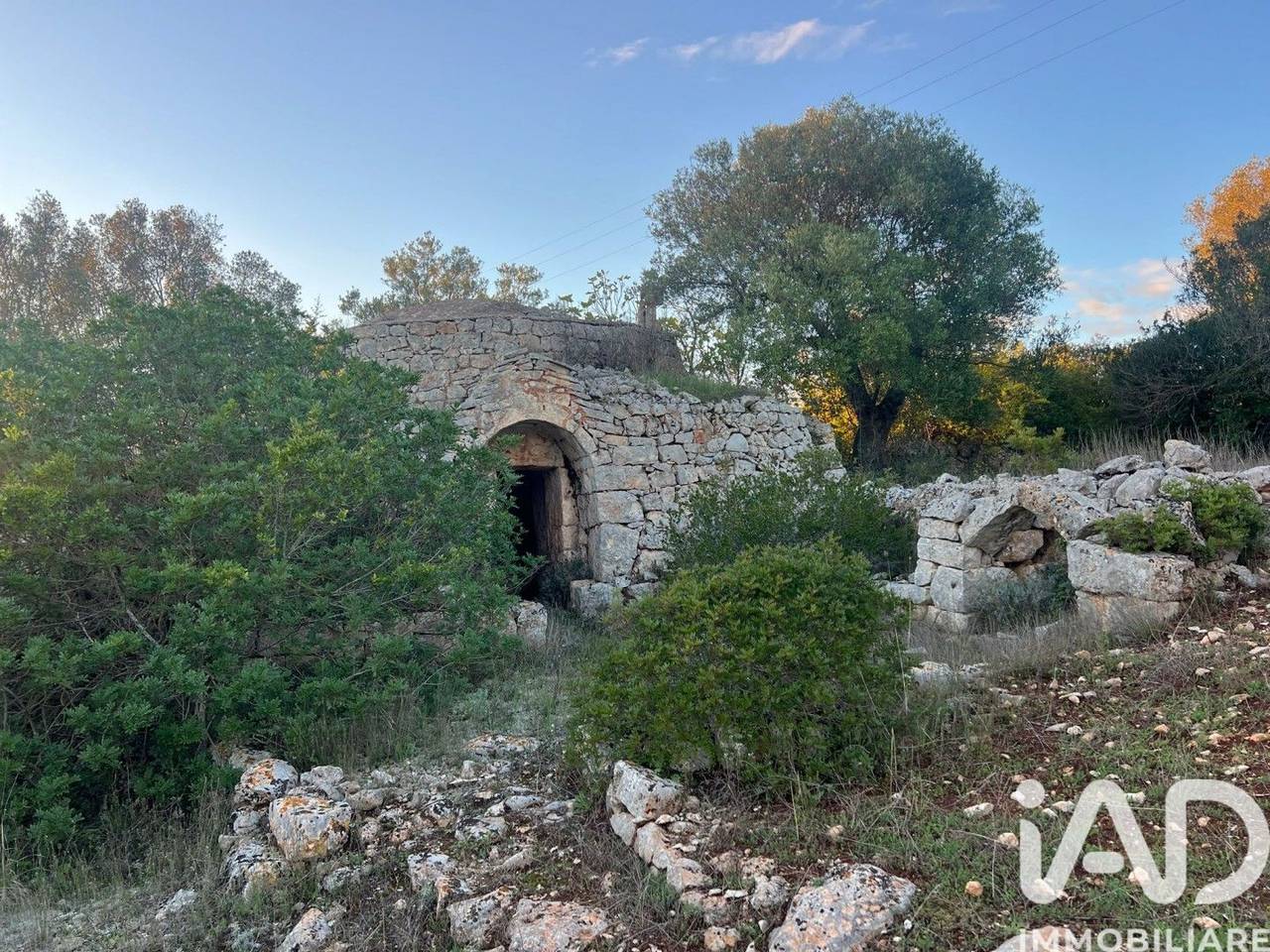 immagine annuncio 2 di 11