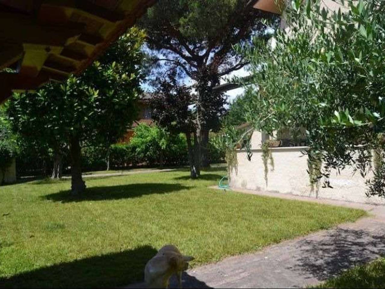 immagine annuncio 13 di 14