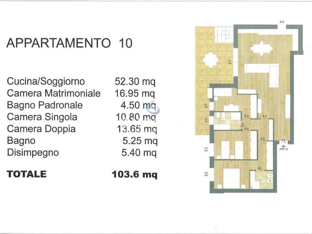 immagine annuncio 6 di 15