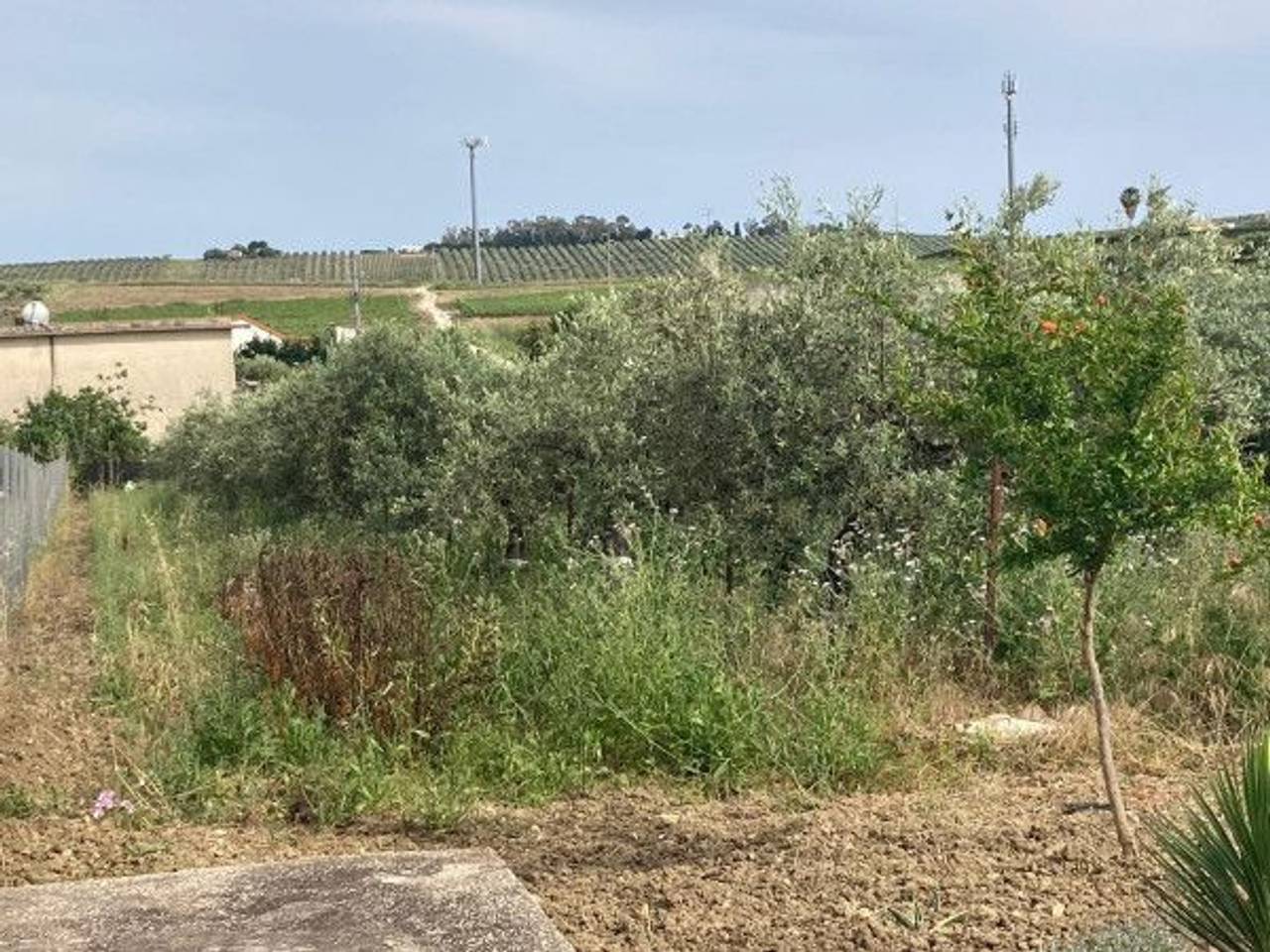 immagine annuncio 3 di 14