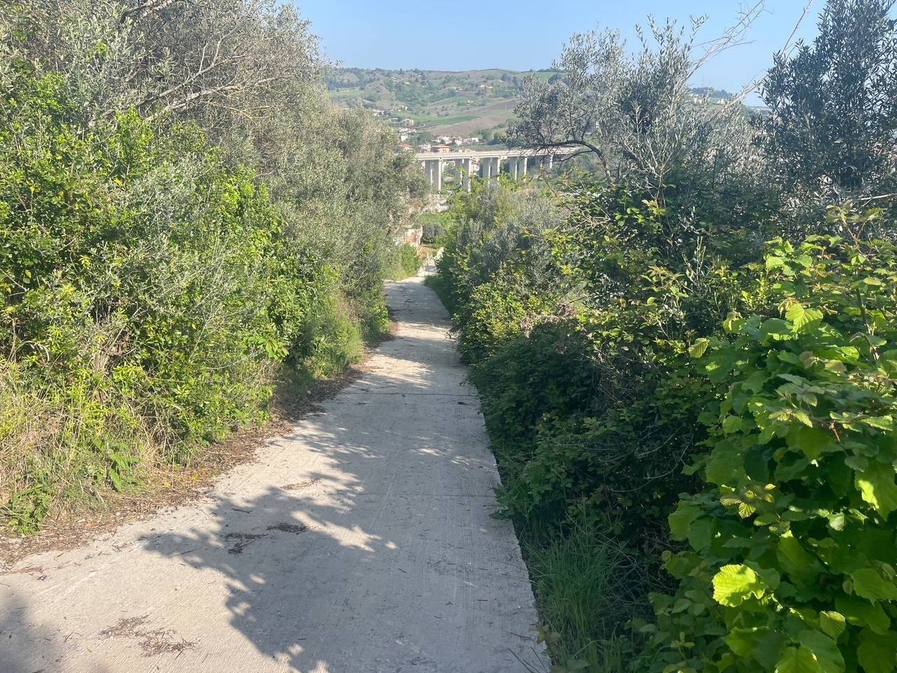 immagine annuncio 3 di 11