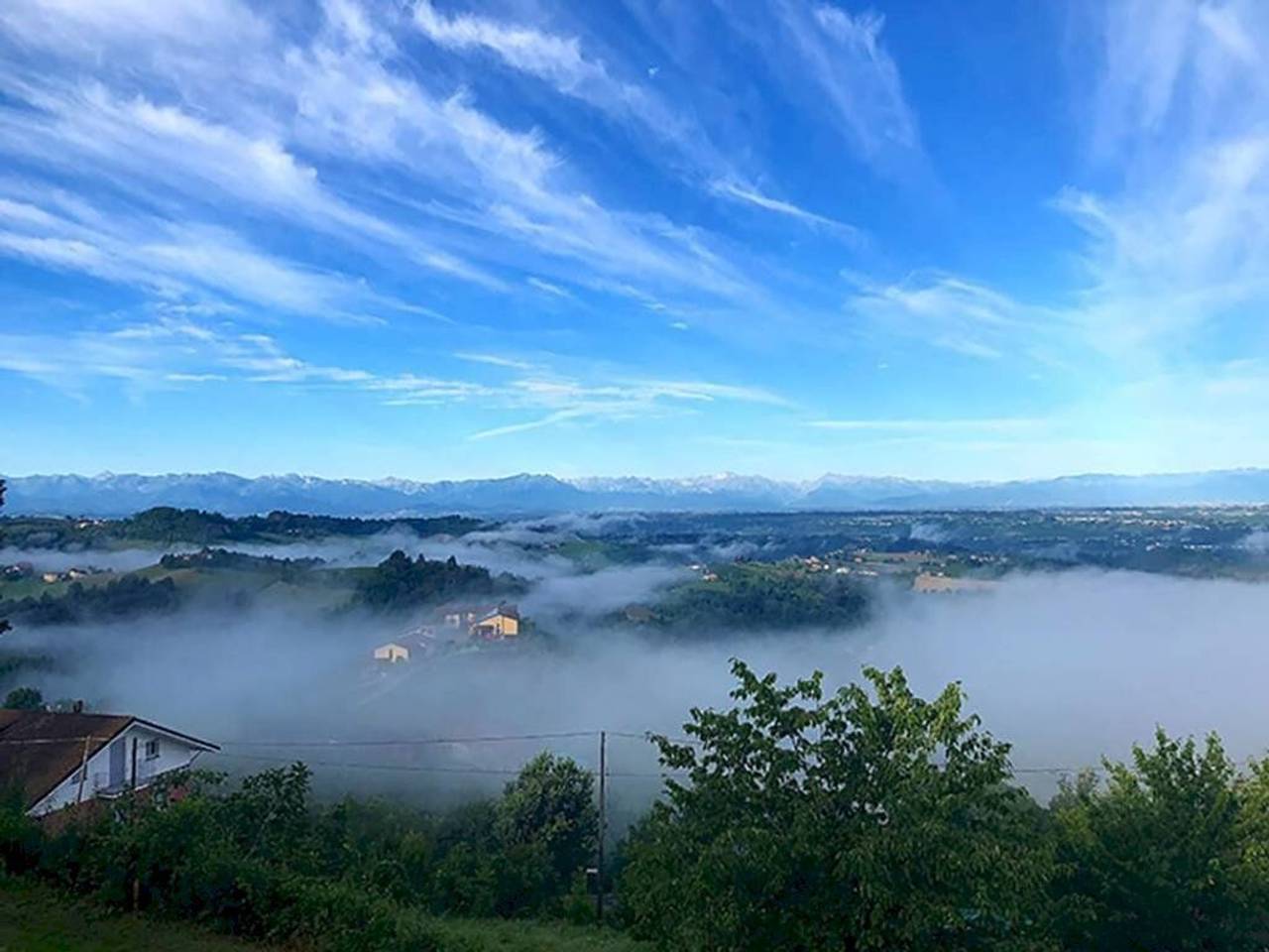 immagine annuncio 5 di 14