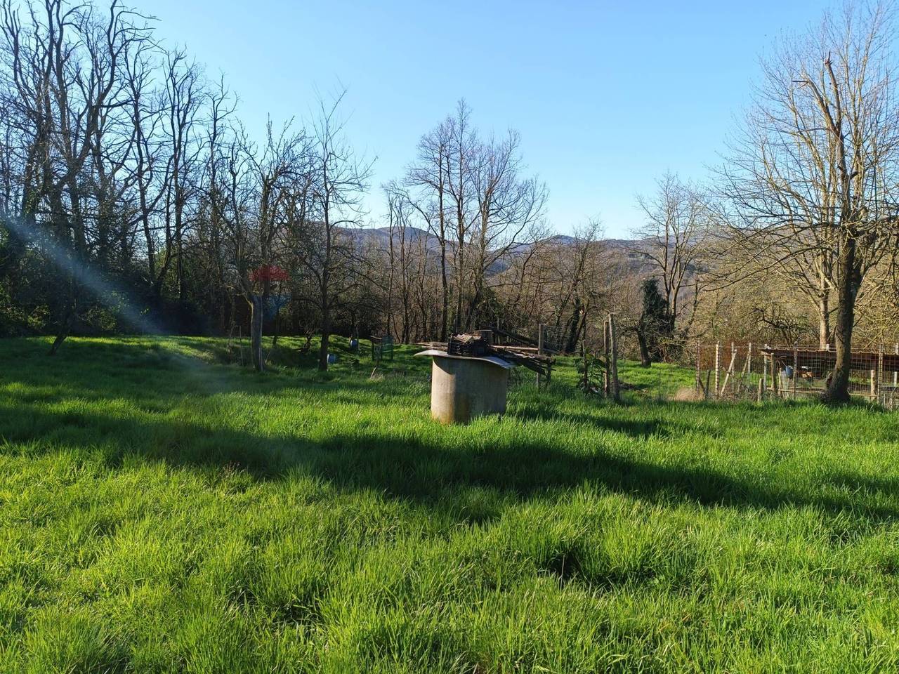 immagine annuncio 6 di 15