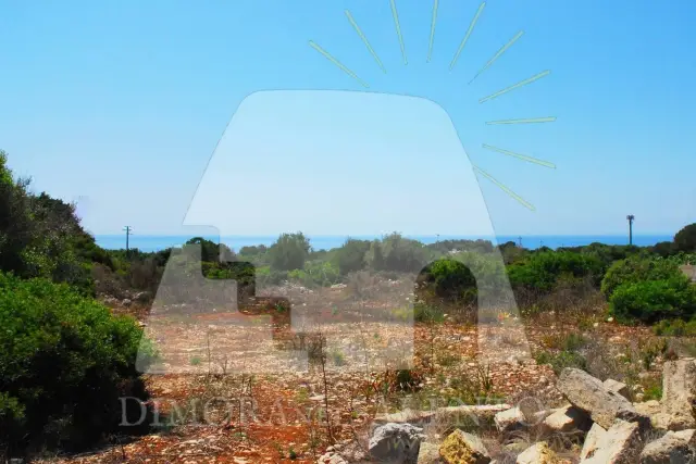 Terreno agricolo in Strada Vicinale Profichi, Salve - Foto 1