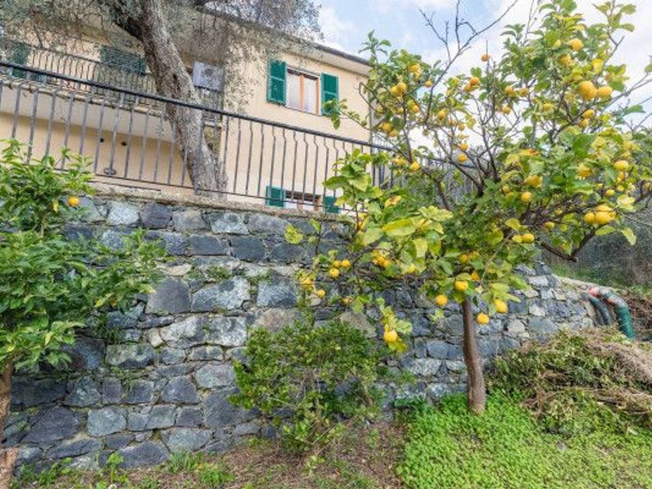 immagine annuncio 2 di 14