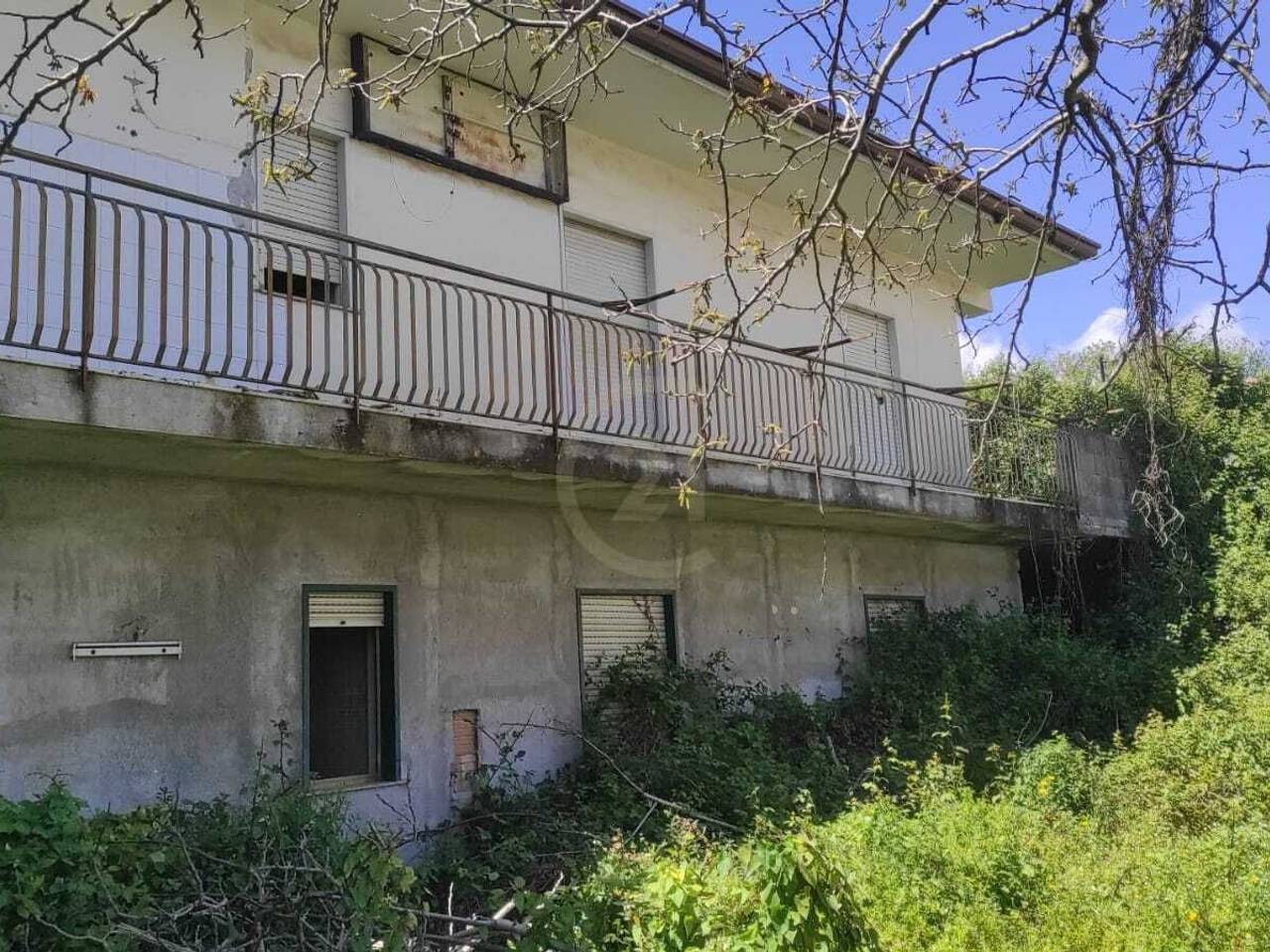 immagine annuncio 10 di 11