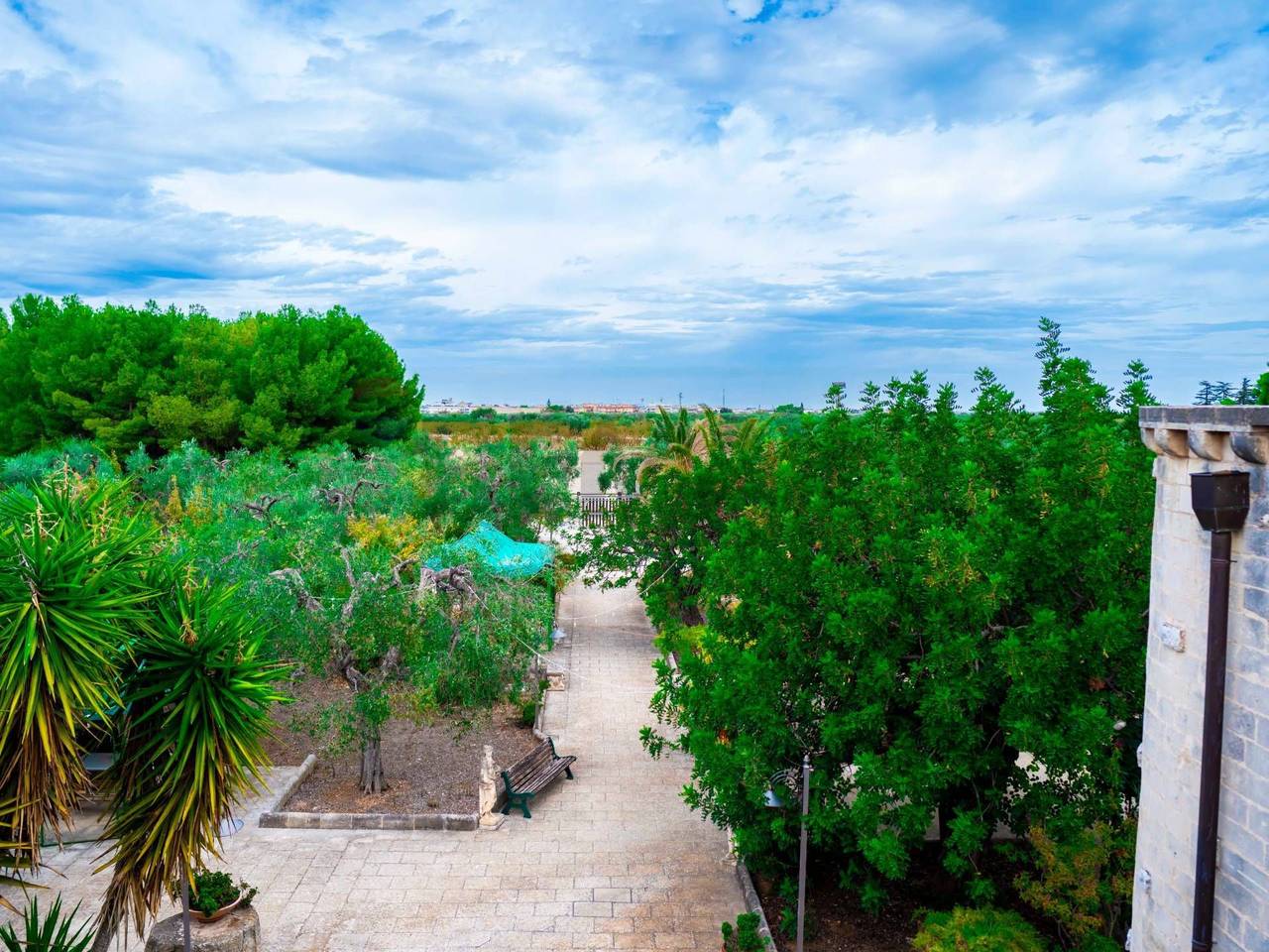 immagine annuncio 11 di 15