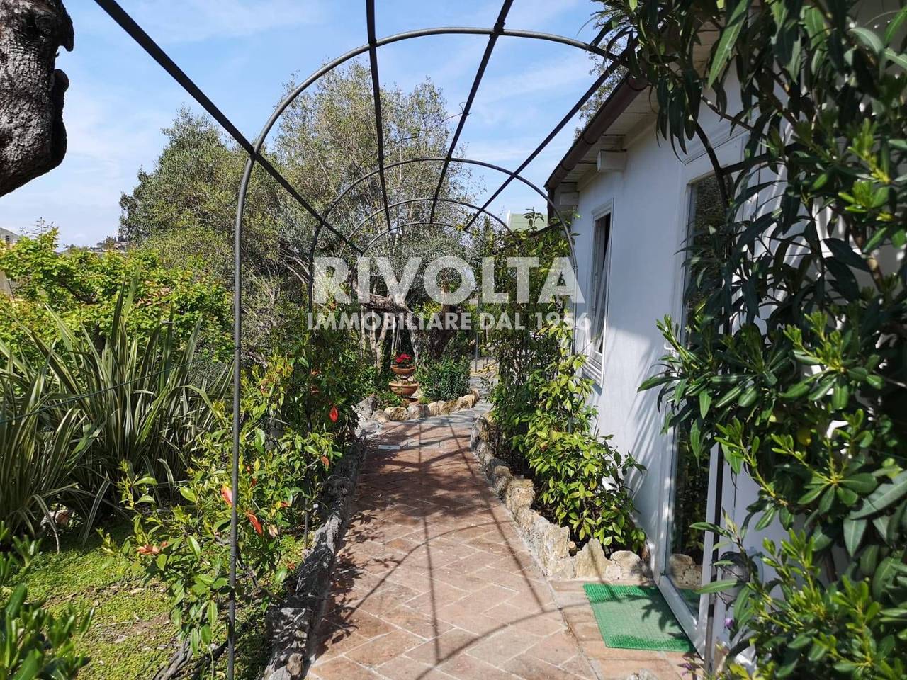 immagine annuncio 12 di 14