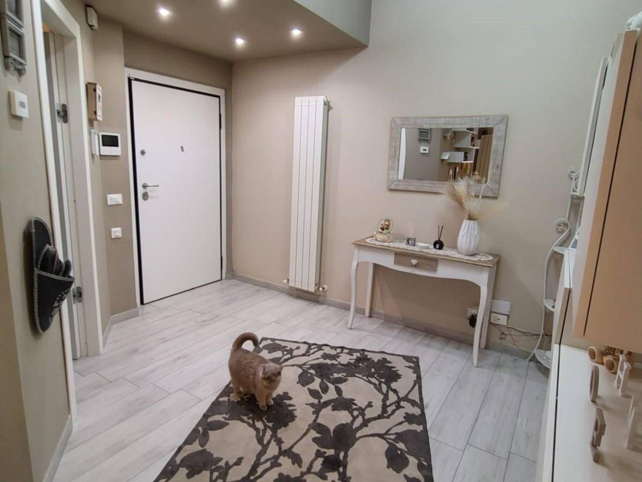 appartamento in vendita a Carrara in zona Sant'Antonio