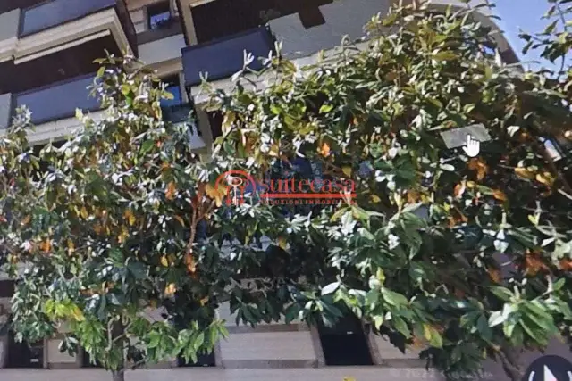 insertion image