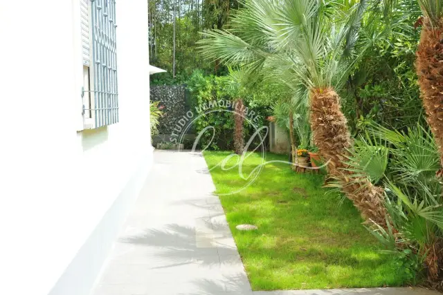 insertion image