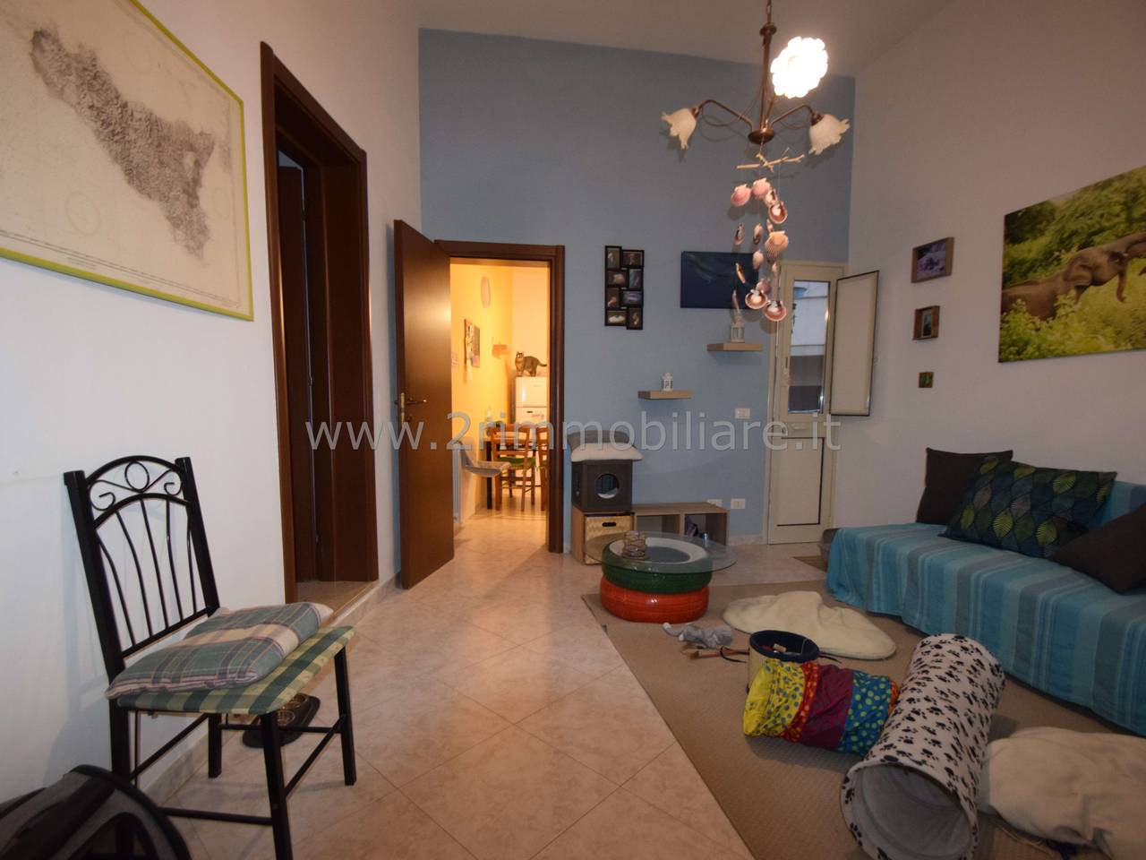 immagine annuncio 6 di 11