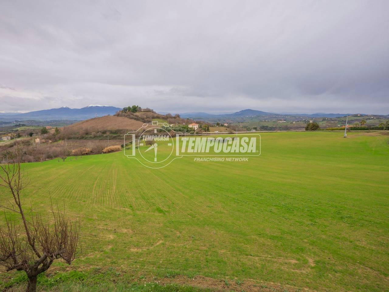 immagine annuncio 2 di 7