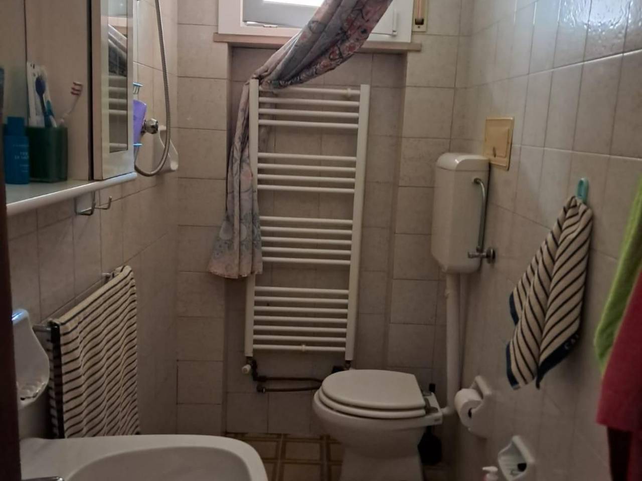 immagine annuncio 3 di 13