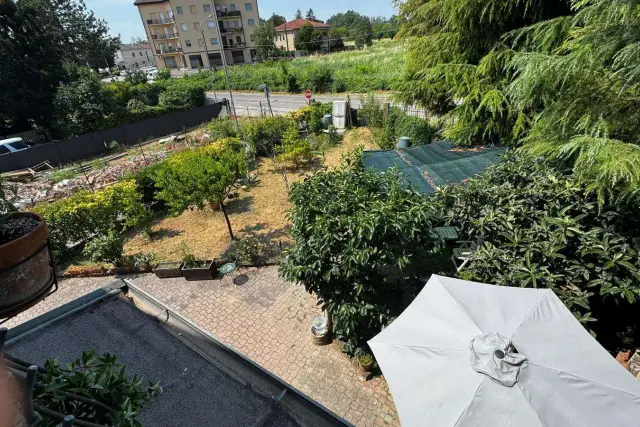 insertion image