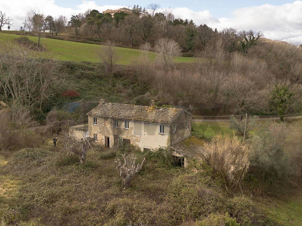 immagine annuncio 3 di 14