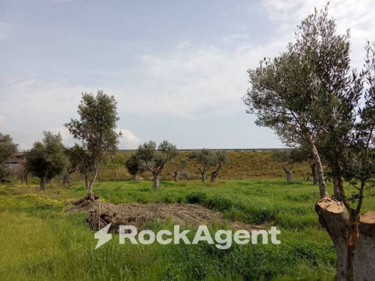 immagine annuncio 6 di 12