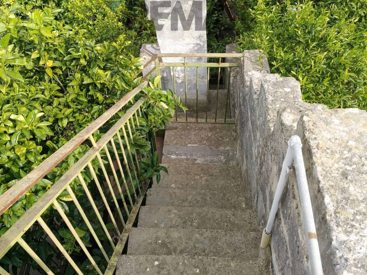 immagine annuncio 9 di 12