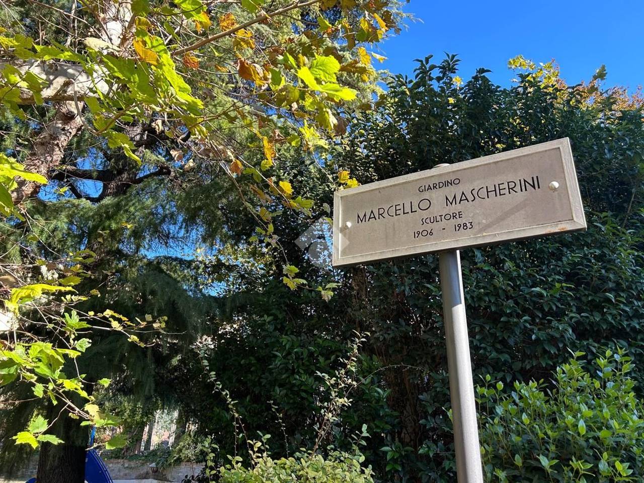 immagine annuncio 11 di 12
