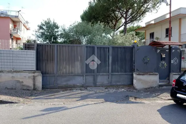 insertion image