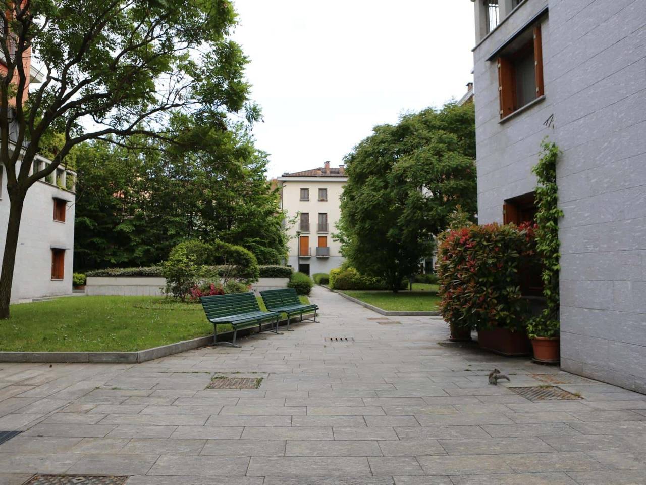 immagine annuncio 12 di 14