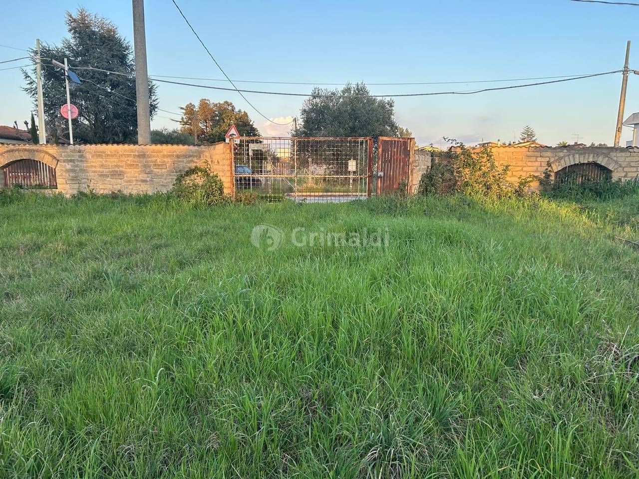 immagine annuncio 4 di 14