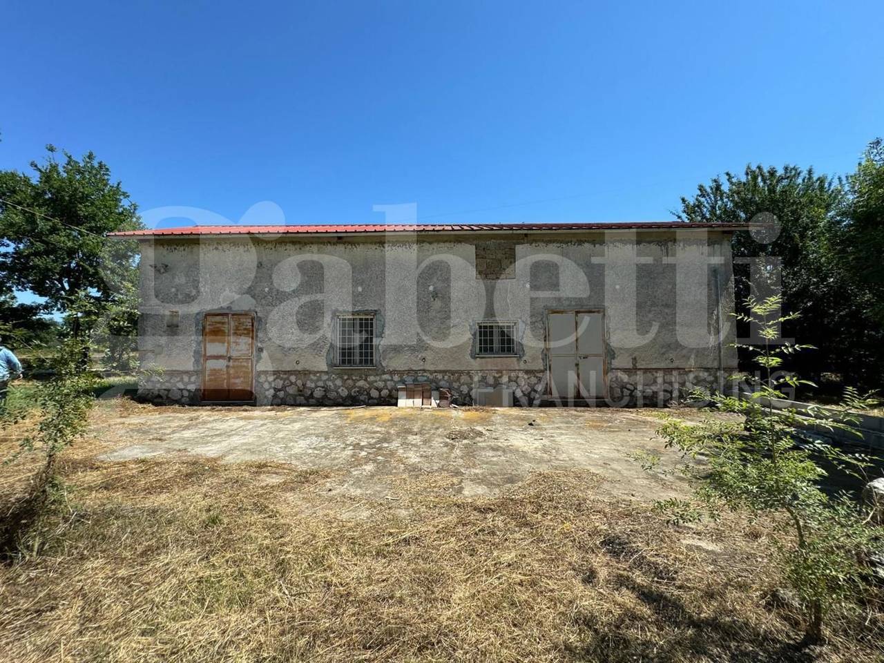 immagine annuncio 9 di 14