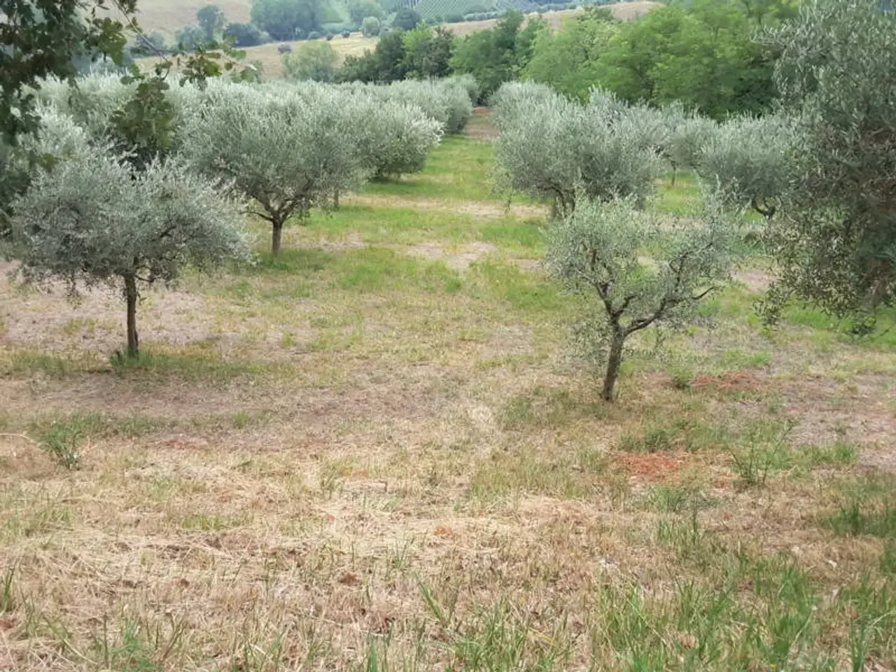 Agriturismo in , Offagna, {3} - Foto 2