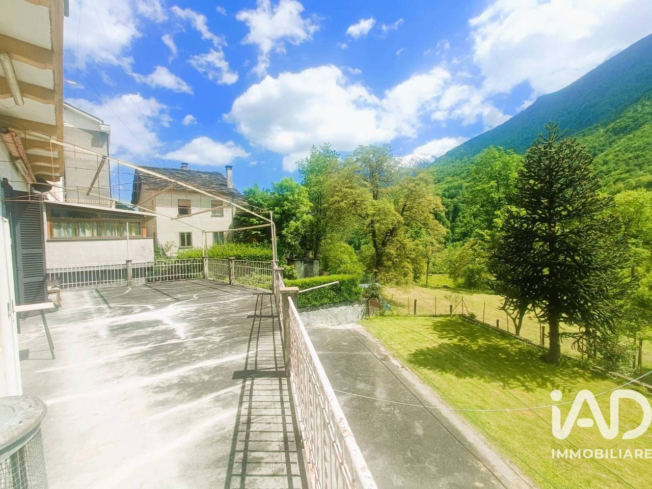 immagine annuncio 14 di 15