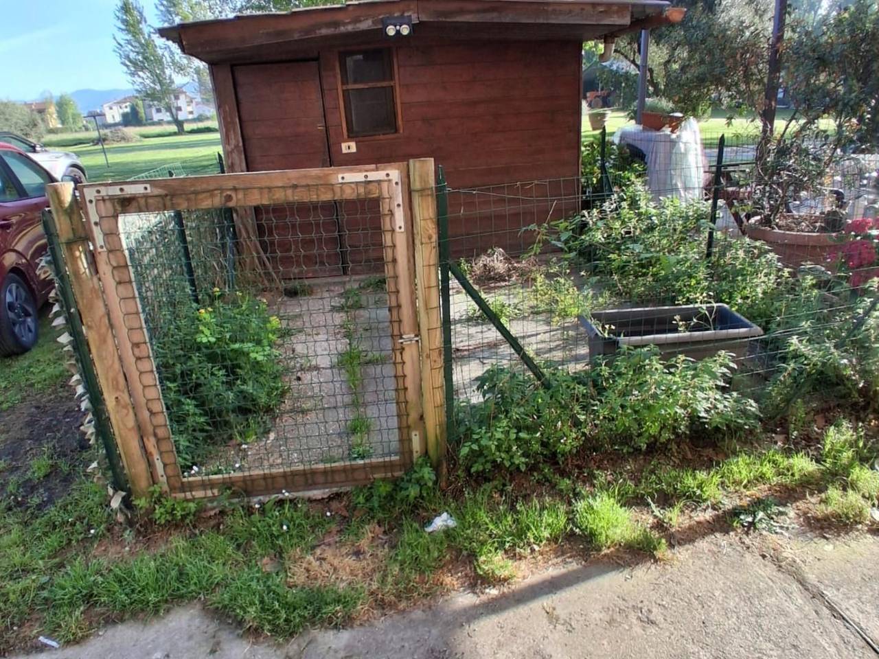 immagine annuncio 2 di 15