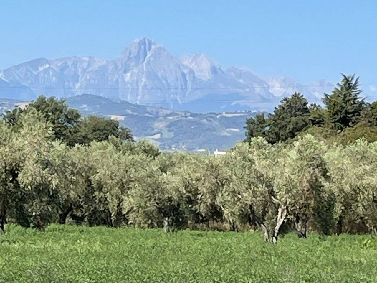 immagine annuncio 3 di 11