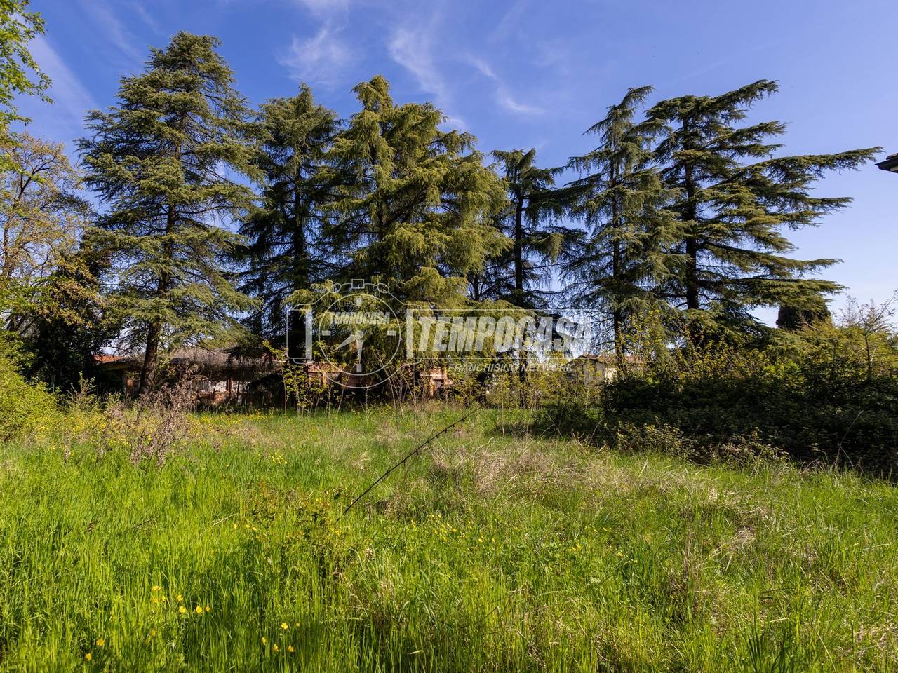 immagine annuncio 12 di 14