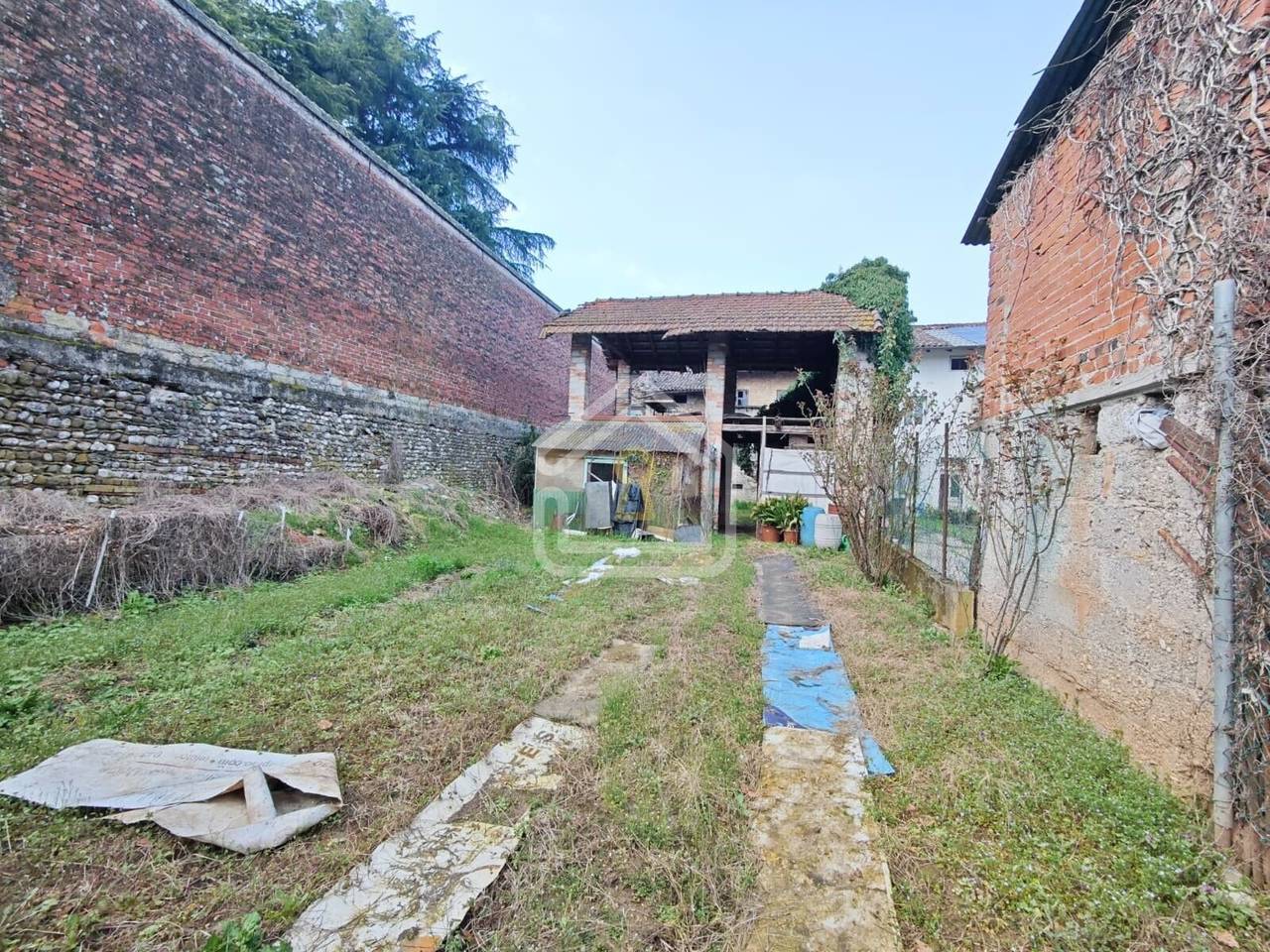 immagine annuncio 11 di 12